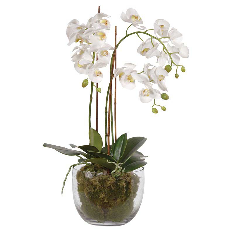 artificial white orchid