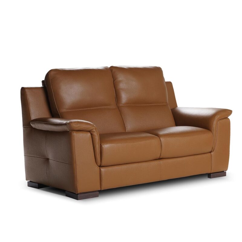 Orion Small Sofa in leather